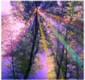 Picture for song 'Don't let it end' by artist 'The Saguaros'