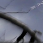 Picture for song 'A Stupid Walk at Night' by artist 'The Serendipitous Cacophonies'