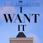 Picture for song 'The Soul Collective- I want it' by artist 'The Soul Collective'