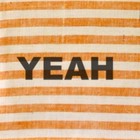 Picture for song 'Yeah' by artist 'The Steppouts'