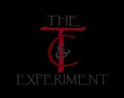 Picture for song 'Farewell To You' by artist 'The TC Experiment'