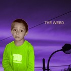 Picture for song '08 dear prudence' by artist 'The Weed'