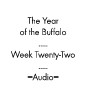 Picture for song 'Week Twenty-Two: If You Only Knew' by artist 'The Year of the Buffalo (Volume II)'