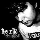 Picture for song 'Marry Me In Waikiki' by artist 'The Zits'