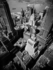 Picture for song '**GUARANTEED HIT!!** Concrete Jungle' by artist 'Thoroughbred Productionz'