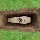 Picture for song 'When I Die-free D/L' by artist 'TOP STAR BEATS'