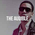 Picture for song 'The Audible' by artist 'TrakkBlazers'