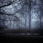 Picture for song 'Elusive spirit' by artist 'Trevor Scrivens'