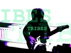 Picture for song 'All is lost' by artist 'Tribes'