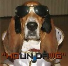 Picture for song 'HOUN DAWG' by artist 'Turquoise Rose'