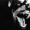 Picture for song 'payback is a bxtch, a kendrick lamar type beat.' by artist 'tantra'