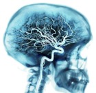 Picture for song 'The Master Plan - Produced by: D-Money' by artist 'Upper Hand Entertainment'