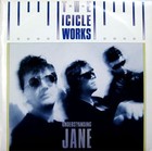 Picture for song 'icicle works - understanding jane' by artist 'Veso Lukovic'