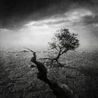 Picture for song 'Broken Gift' by artist 'Victor Snow'