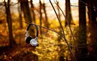 Picture for song 'Road Less Travelled' by artist 'VOICE OF FRACTALS'