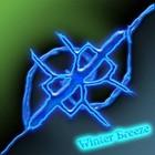 Picture for song 'Witness To Life - March 2 2014 - clip' by artist 'Winter Breeze'