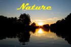 Picture for song 'Nature' by artist 'XmafaX'