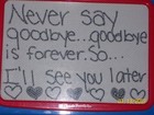 Picture for song 'Never Say GoodBye' by artist 'YOUNG SMERK'