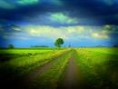 Picture for song 'One Million Miles Away' by artist 'You Want More?'