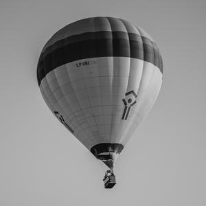 Picture for song 'FLY FLY Hard bouncy hip hop guitar' by artist 'Zalfprod'