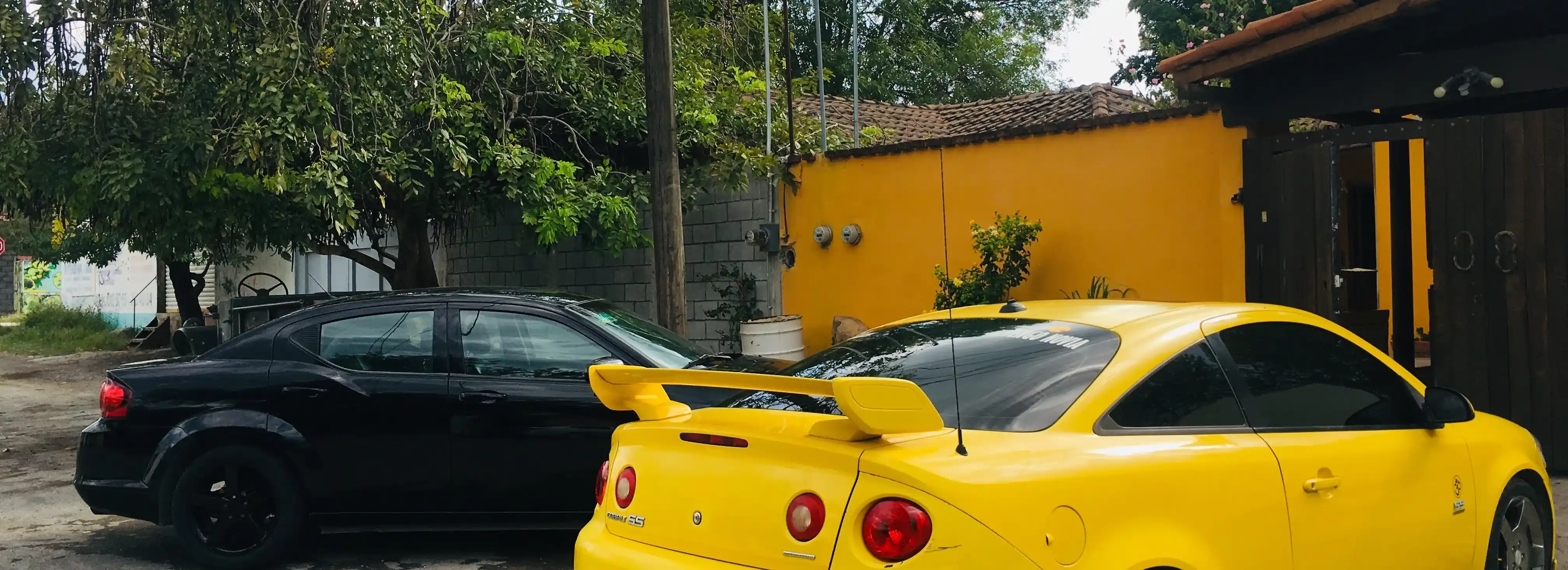 cover pic
