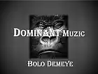 Picture for song 'Dangerous Road' by artist 'Bolo Demeye'