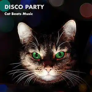 Picture for song 'Disco Party' by artist 'Cat Beats'
