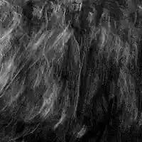 Picture for song 'A Plague Be Upon Us' by artist 'Corpselium'