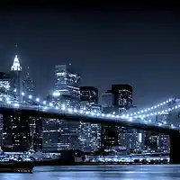 cover pic