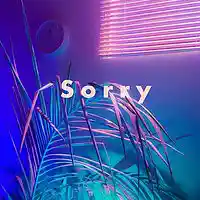 Picture for song 'Sorry' by artist 'JuSaMeLoDy'