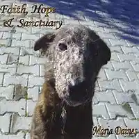 Song picture