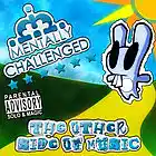 Picture for song 'Mocking Bird Parody' by artist 'Mentally Challenged'