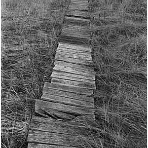 Picture for song 'Nantucket Exception: Play The Blues' by artist 'paul gorman and the hypnotist collectors'