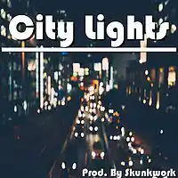 Picture for song '*Chill Trap* City Lights ' by artist 'Skunkwork'