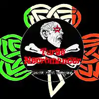 Picture for song 'Celtic Pride' by artist 'Turtle Necromancer'