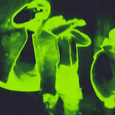 Picture for song 'So Crazy' by artist 'typedot'