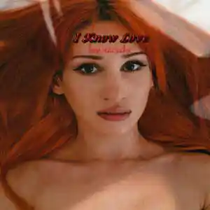 Picture for song 'I Know Love (Original Mix by Arcylox)' by artist 'Arcylox'