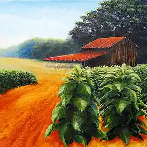 Picture for song 'August' by artist 'Black Chalk'