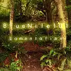 Picture for song 'What Came To Be' by artist 'BlueNile101'