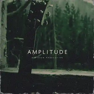 Picture for song 'AMPLITUDE (Acoustic Guitar Country Blues Beat)' by artist 'Die Naum Production'