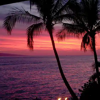 Picture for song '''90's'' - THE NEPTUNES X 2000's TYPE BEAT' by artist 'Dsanti'