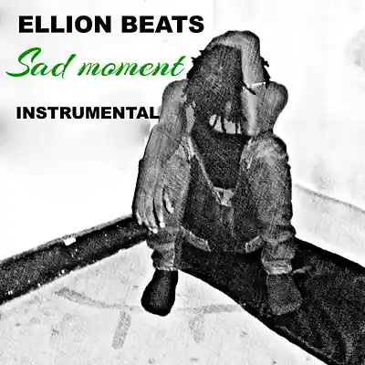 Picture for song 'Sad moment' by artist 'ellion beats'