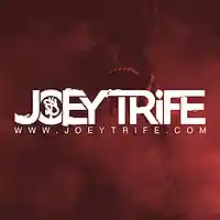 Picture for song 'Understand' by artist 'Joey Trife'