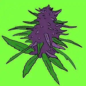 Picture for song '[$1] "SATIVA" (Don Toliver x Drake Type Beat)' by artist 'One Dollar Beats Club'