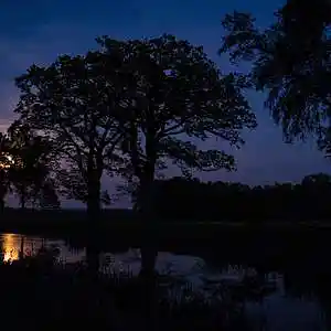 Picture for song 'PROSELYTE' by artist 'Ozostomia2'