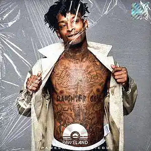 Picture for song 'DREAMER - (21 Savage Type Beat, Drake Beat)' by artist 'Paweland Beats'