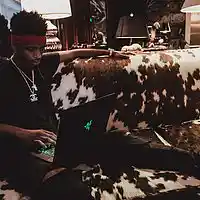 Picture for song 'No Trust' by artist 'Big Nano'