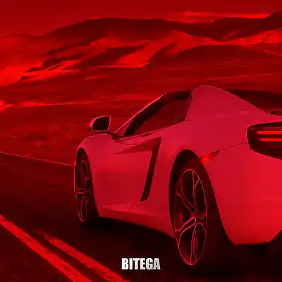 Picture for song 'Tiger's Roar' by artist 'Bitega'