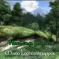 Picture for song 'Der Flammentanz (M Lochtenknapper)' by artist 'Mario Lochtenknapper'