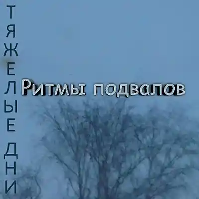 Picture for song '01. Pridurok' by artist 'Rhythms of holes'